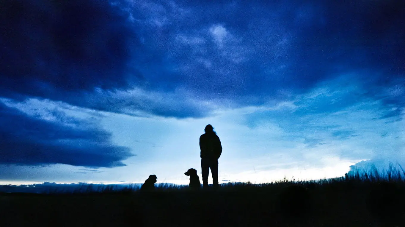 The Thick Dark Fog backdrop