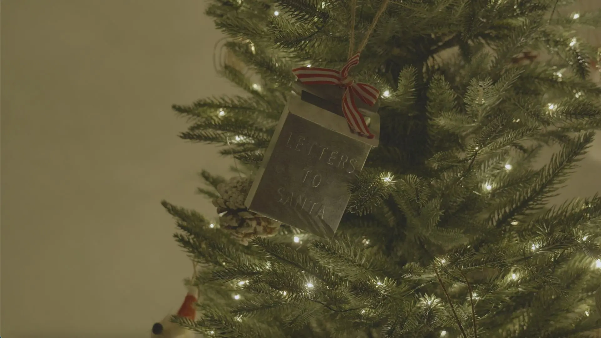 Santa's Never Been to My House backdrop