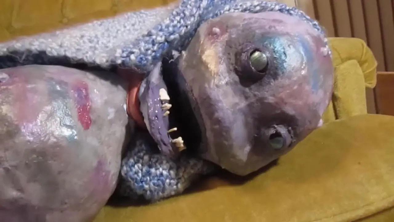 Daisy Brown backdrop