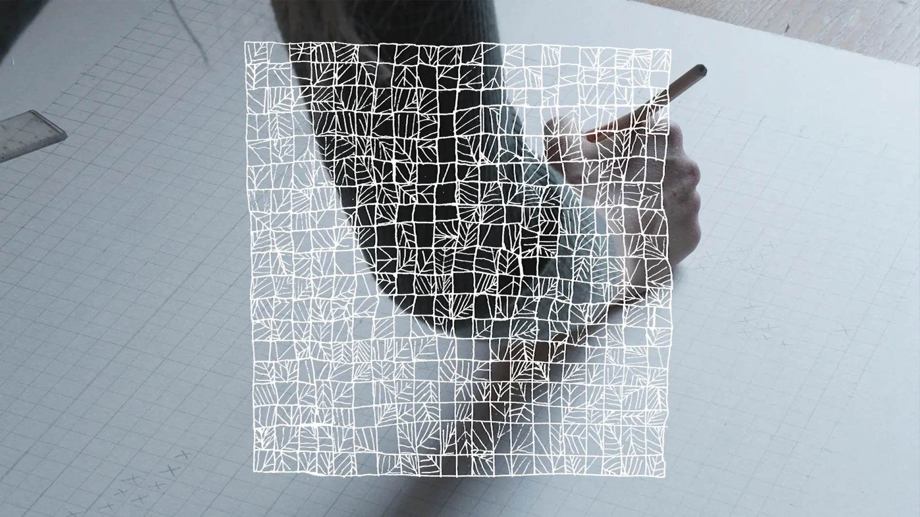 Square Fieldwork backdrop