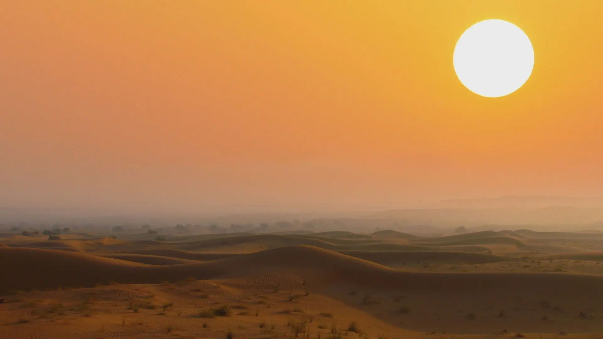 Arabian Inferno backdrop