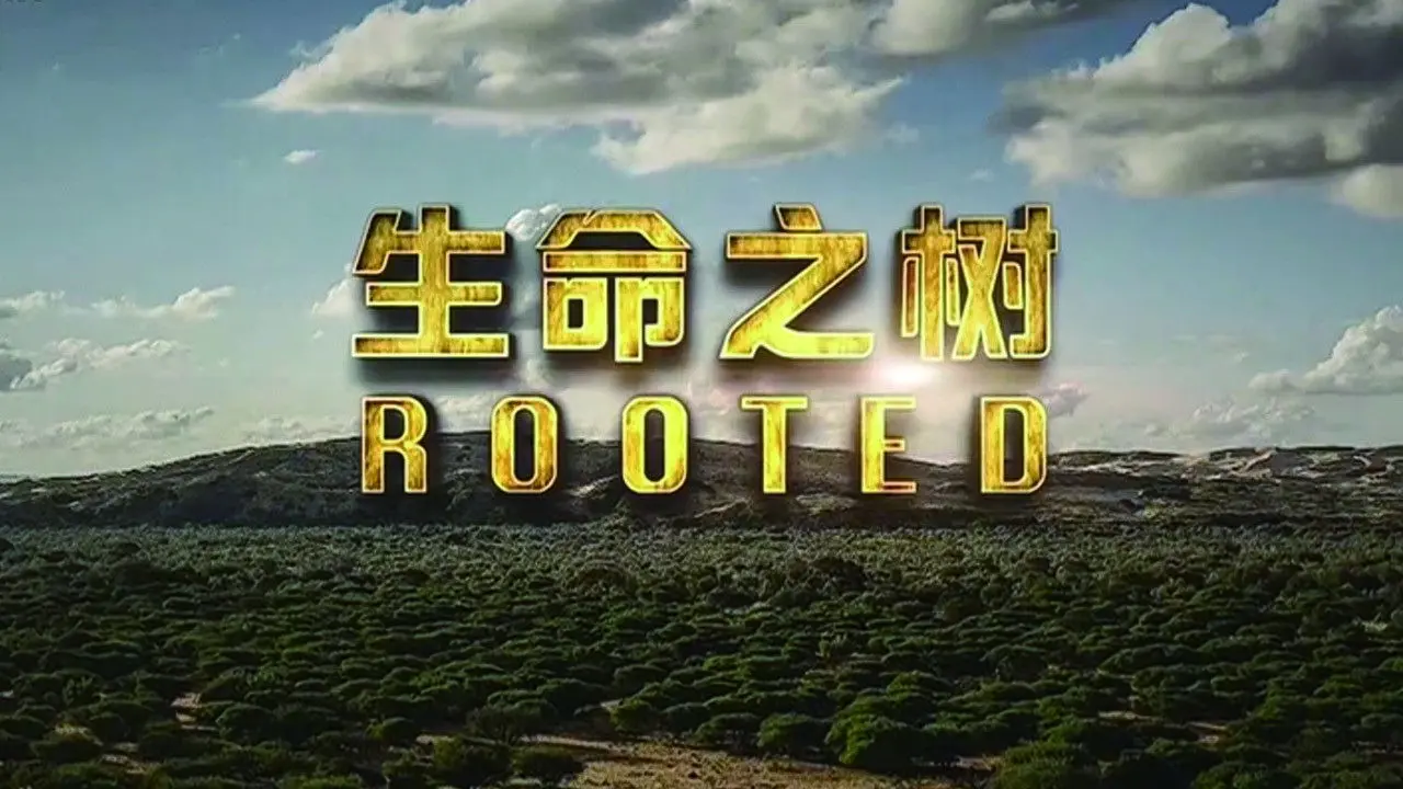 Rooted backdrop