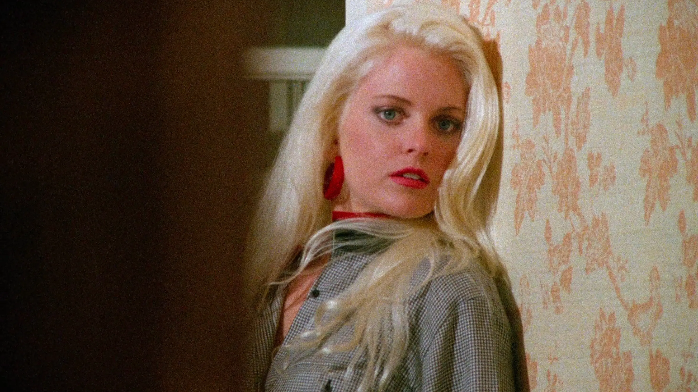 Eleven Days, Eleven Nights 2 backdrop