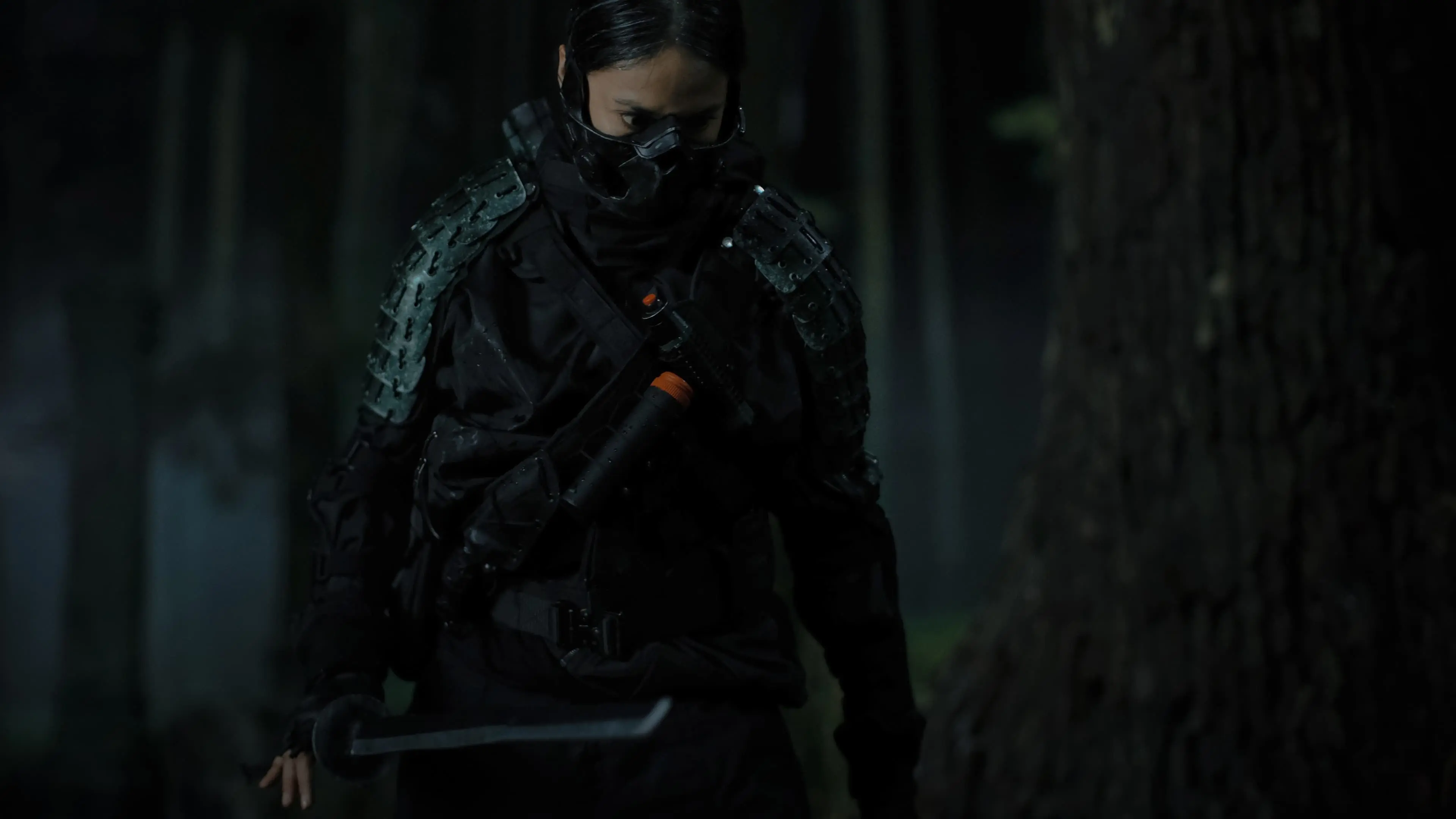 The Shadow Strays backdrop