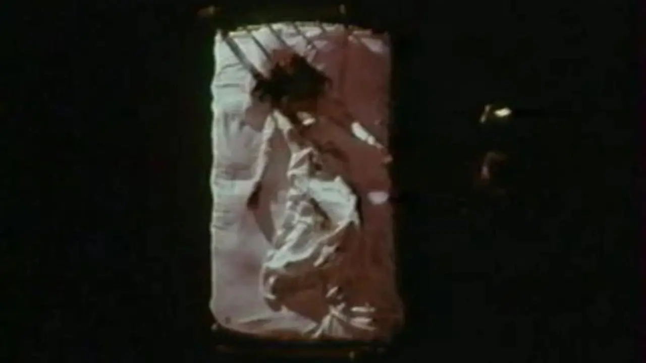 The Water Spider backdrop