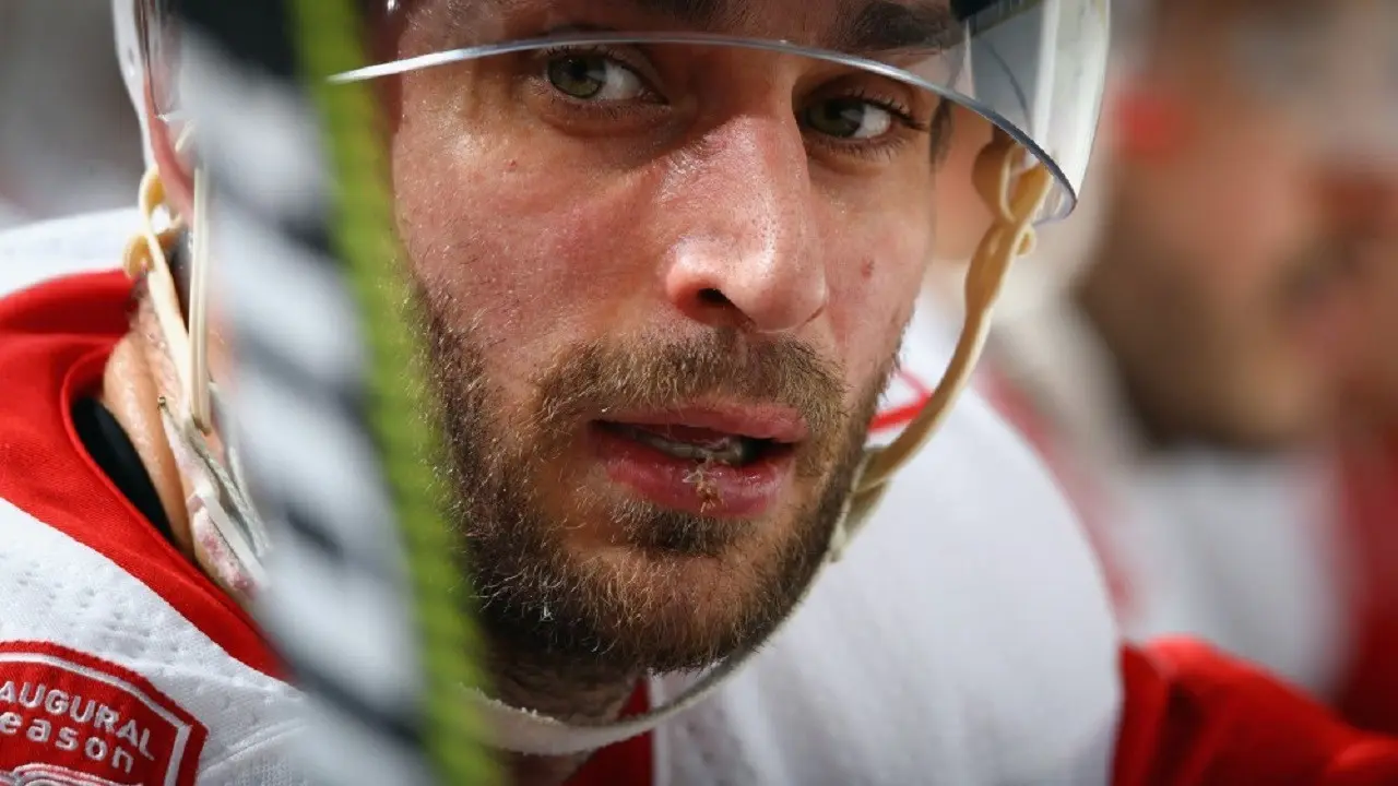 De danske NHL-stjerner backdrop