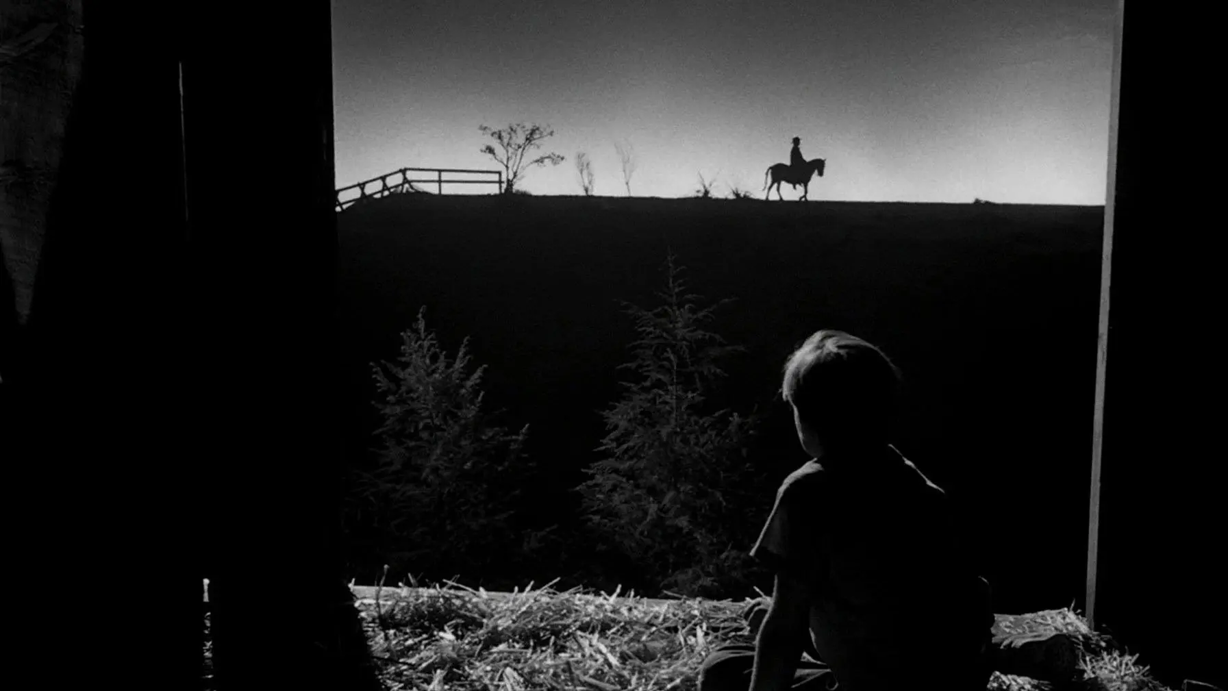 The Night of the Hunter backdrop