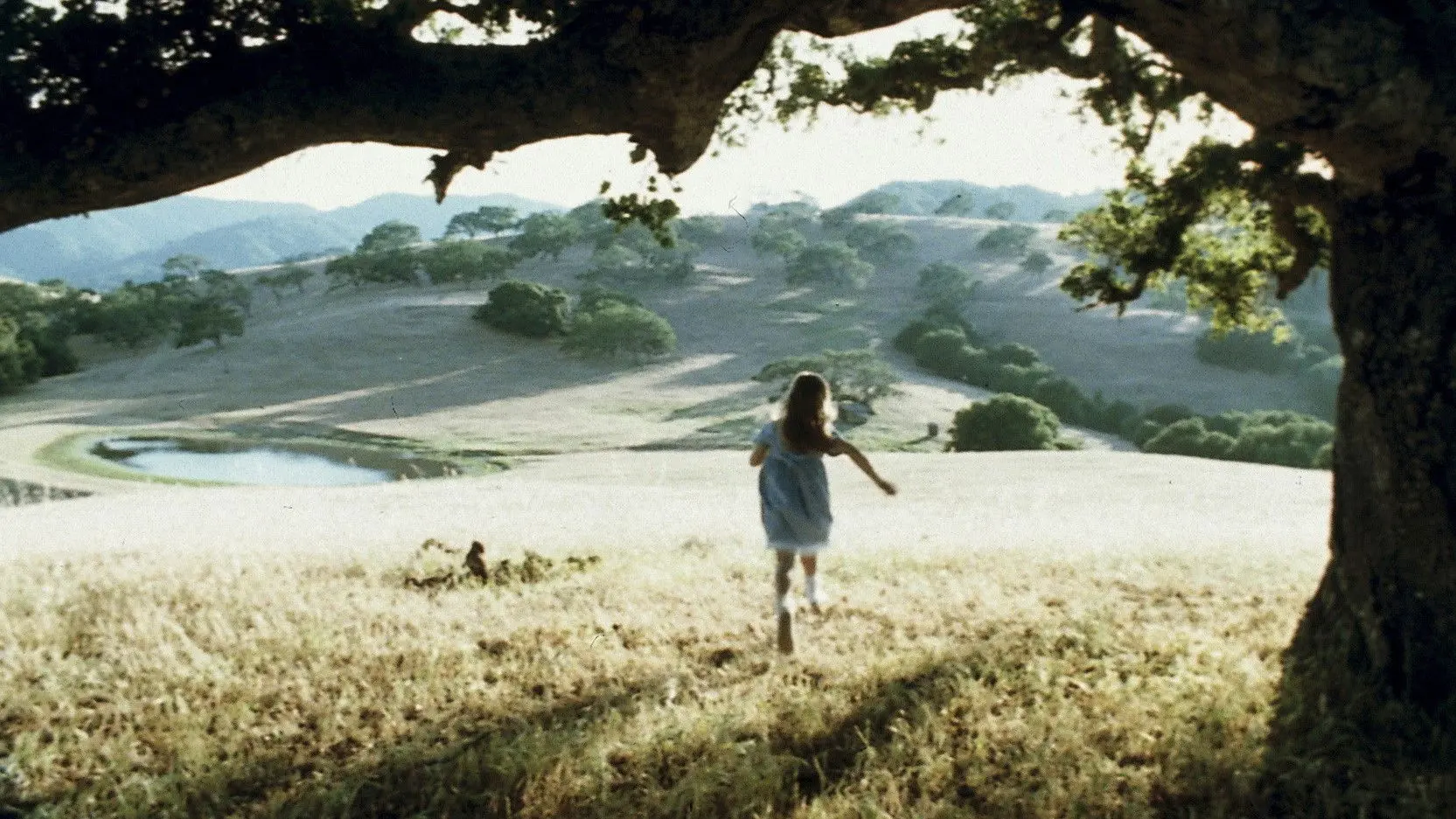 In Quiet Night backdrop