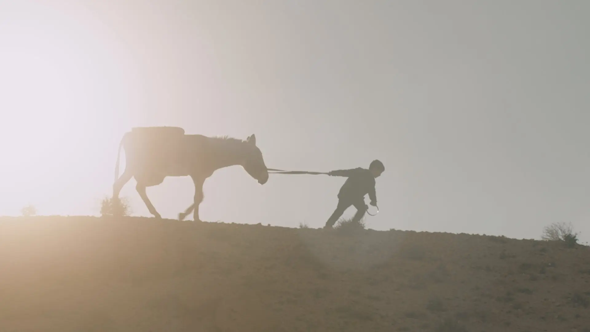 Nefta Football Club backdrop