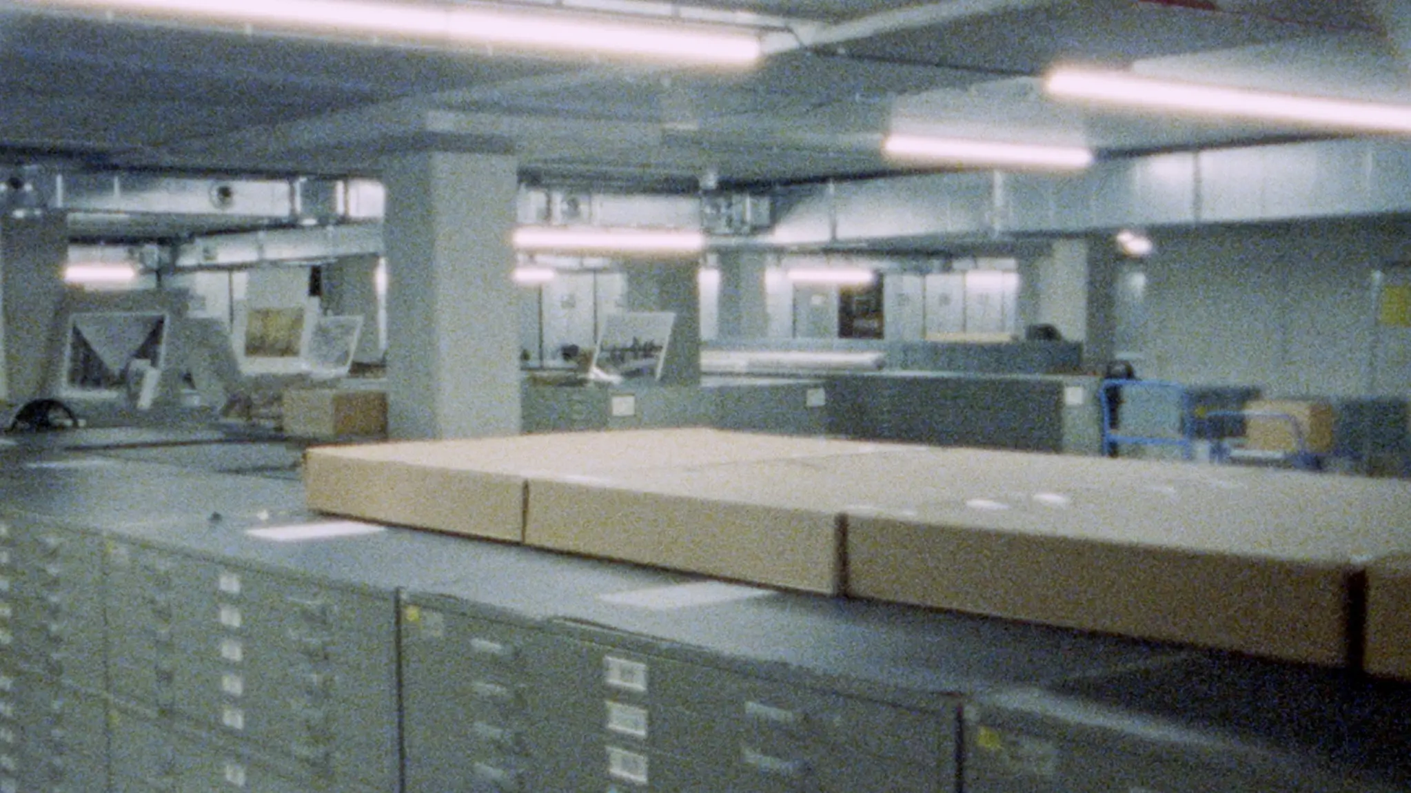 Seen From Here, I Feel Like Belonging backdrop