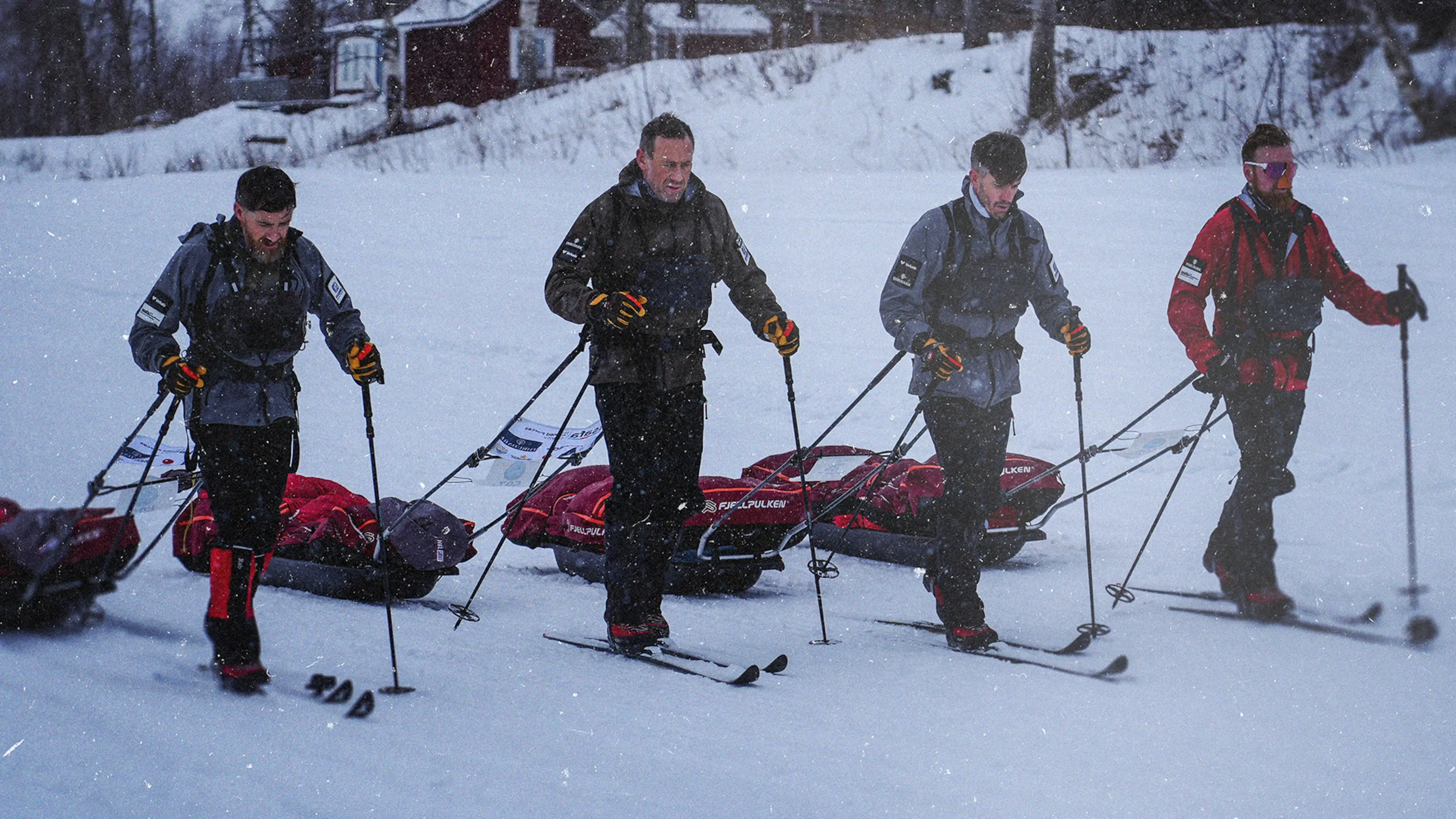 Arctic Adventure: Ultimate Survival backdrop