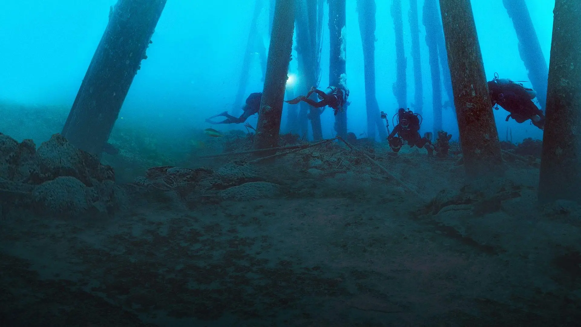 Reef Wrecks backdrop