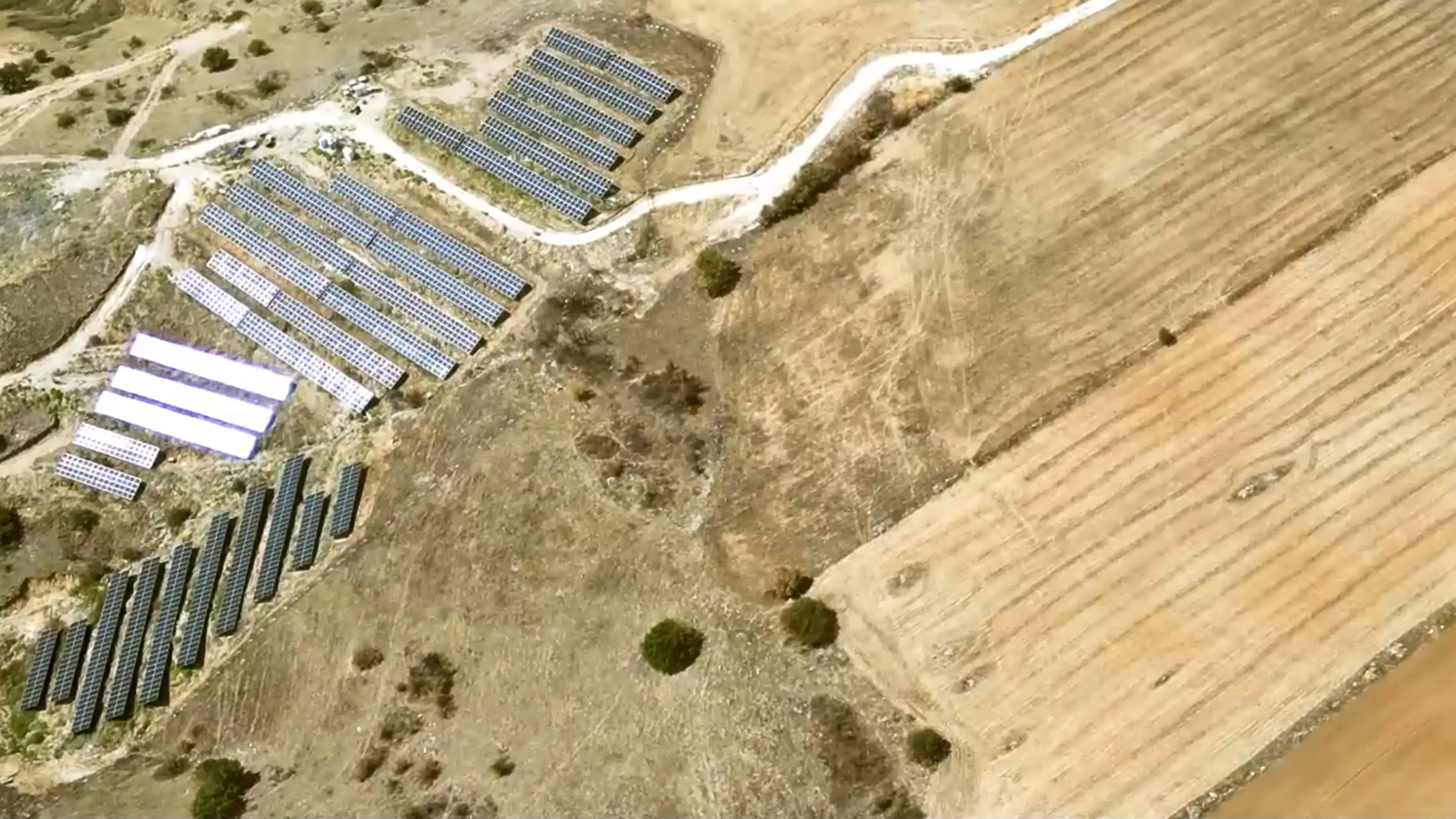 Metamorfosi backdrop