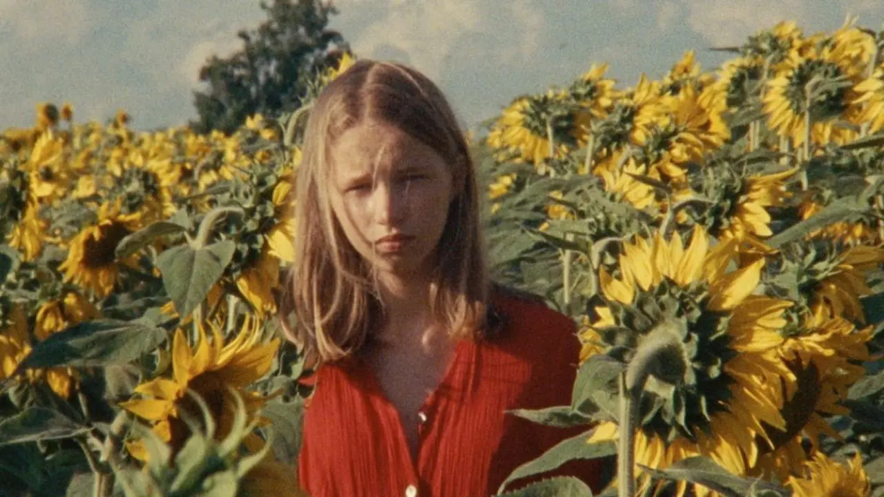Alice and the Sunflowers backdrop