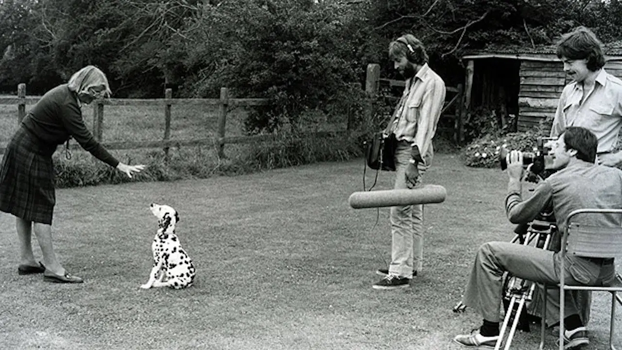 Training Dogs the Woodhouse Way backdrop