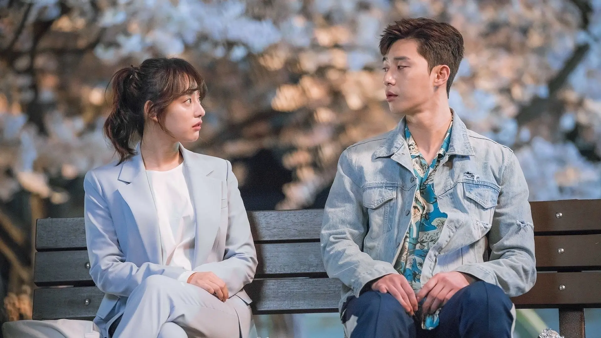 Fight for My Way backdrop