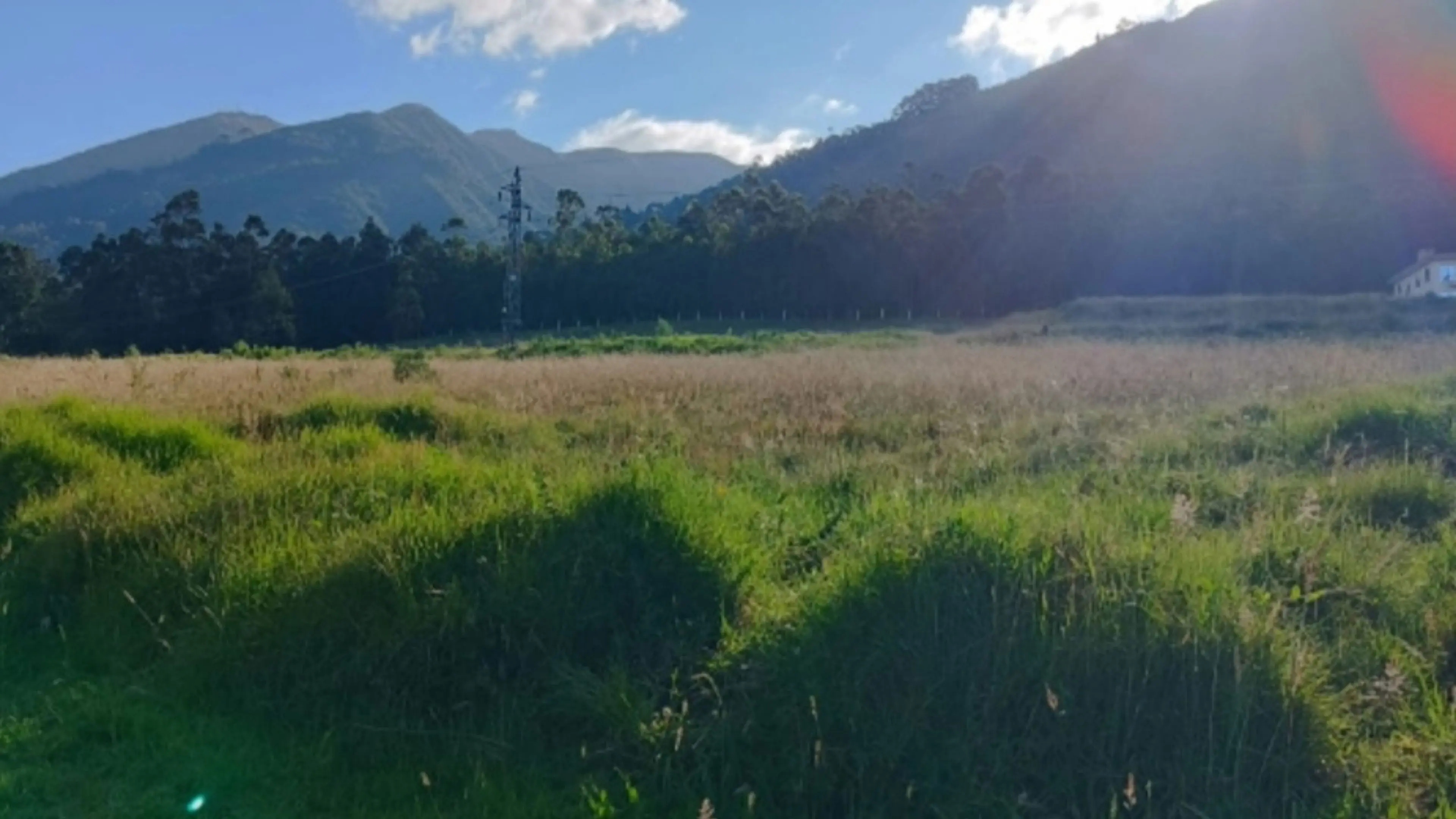 Wakcha Tamya backdrop