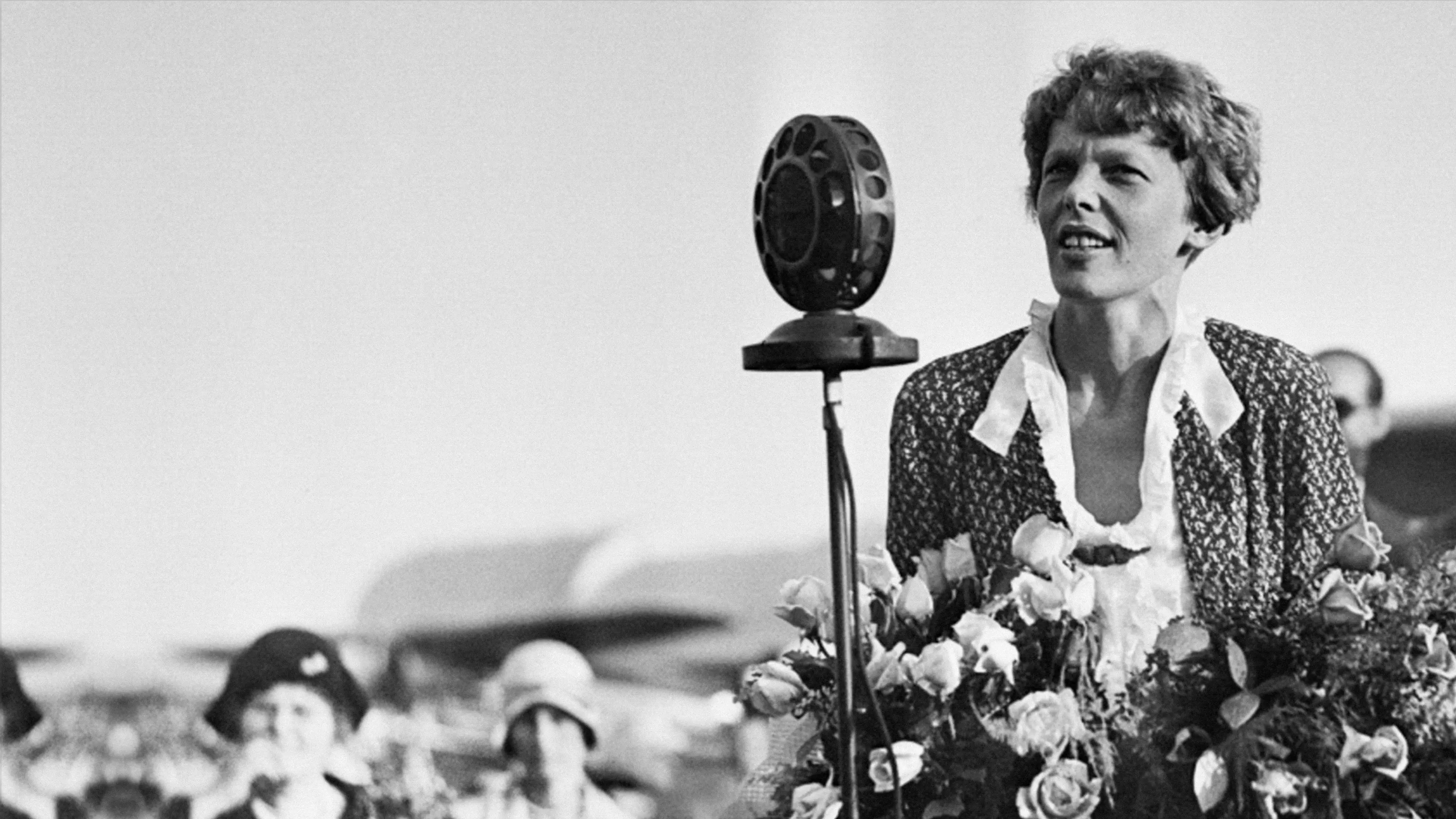 Finding Amelia backdrop