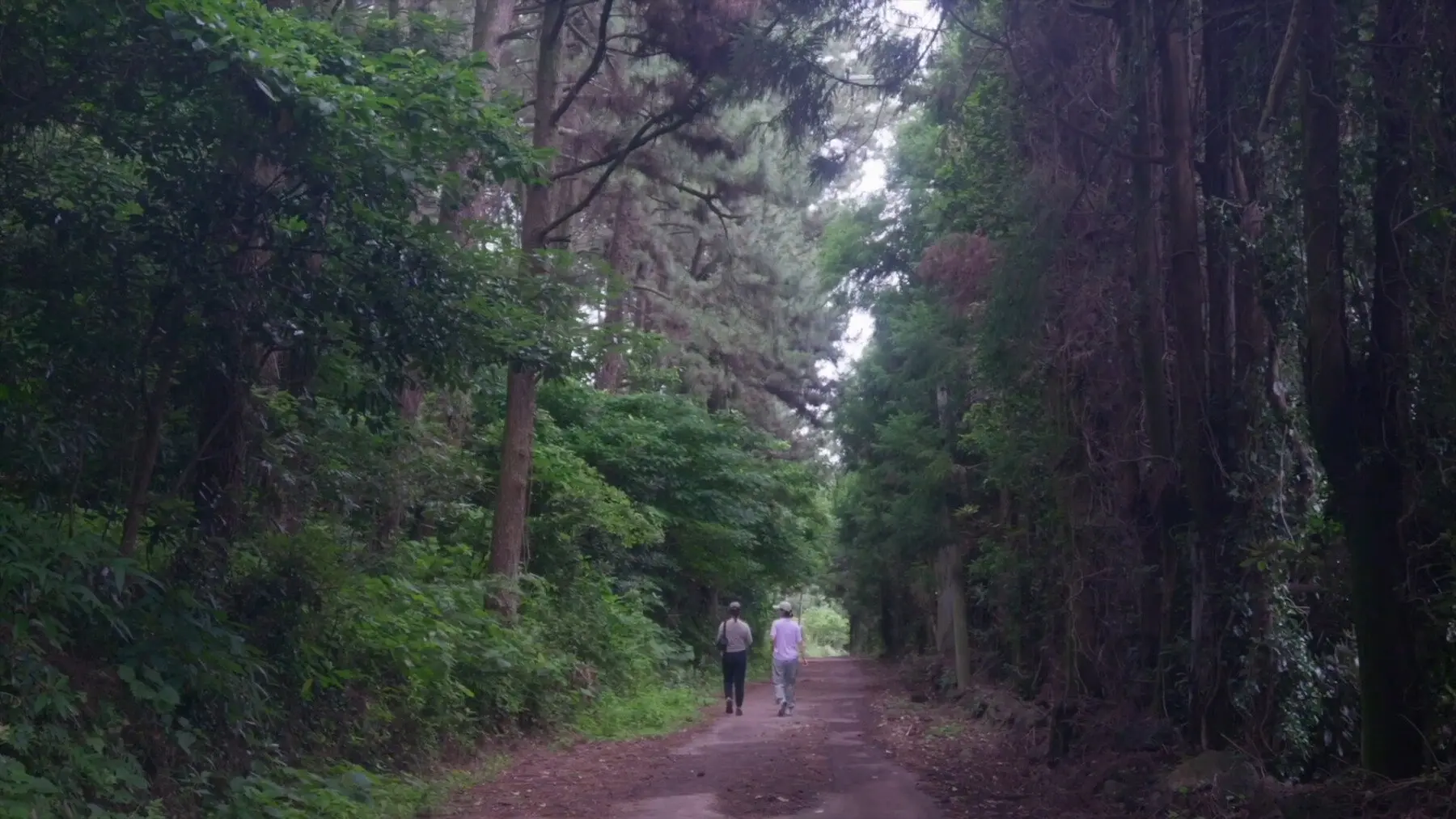 The Time of Jeju backdrop