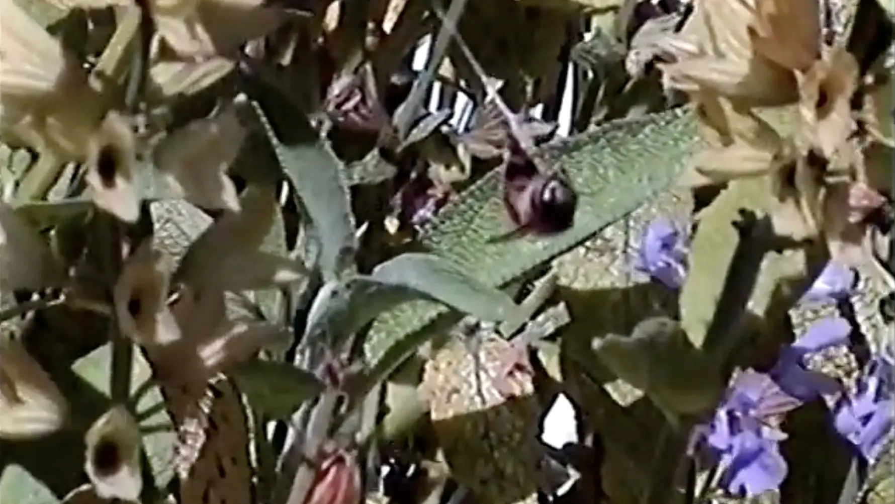 Documenting Selfie Intern #1 backdrop