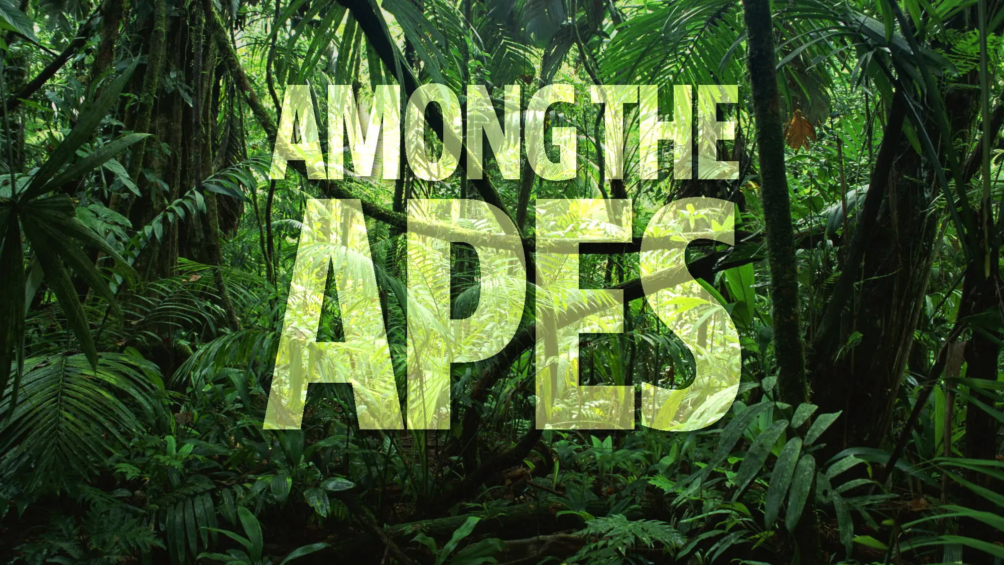 Among the Apes backdrop
