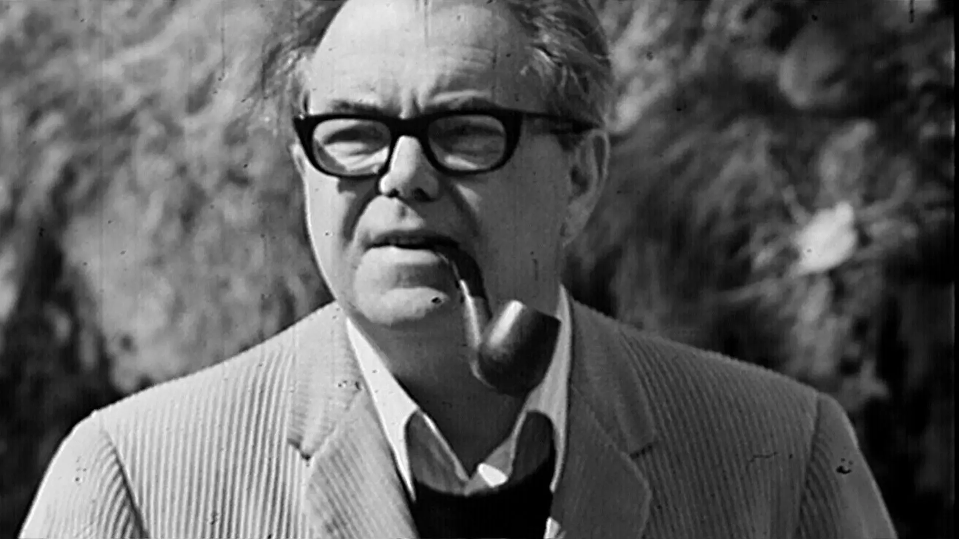 Max Frisch, Citoyen backdrop