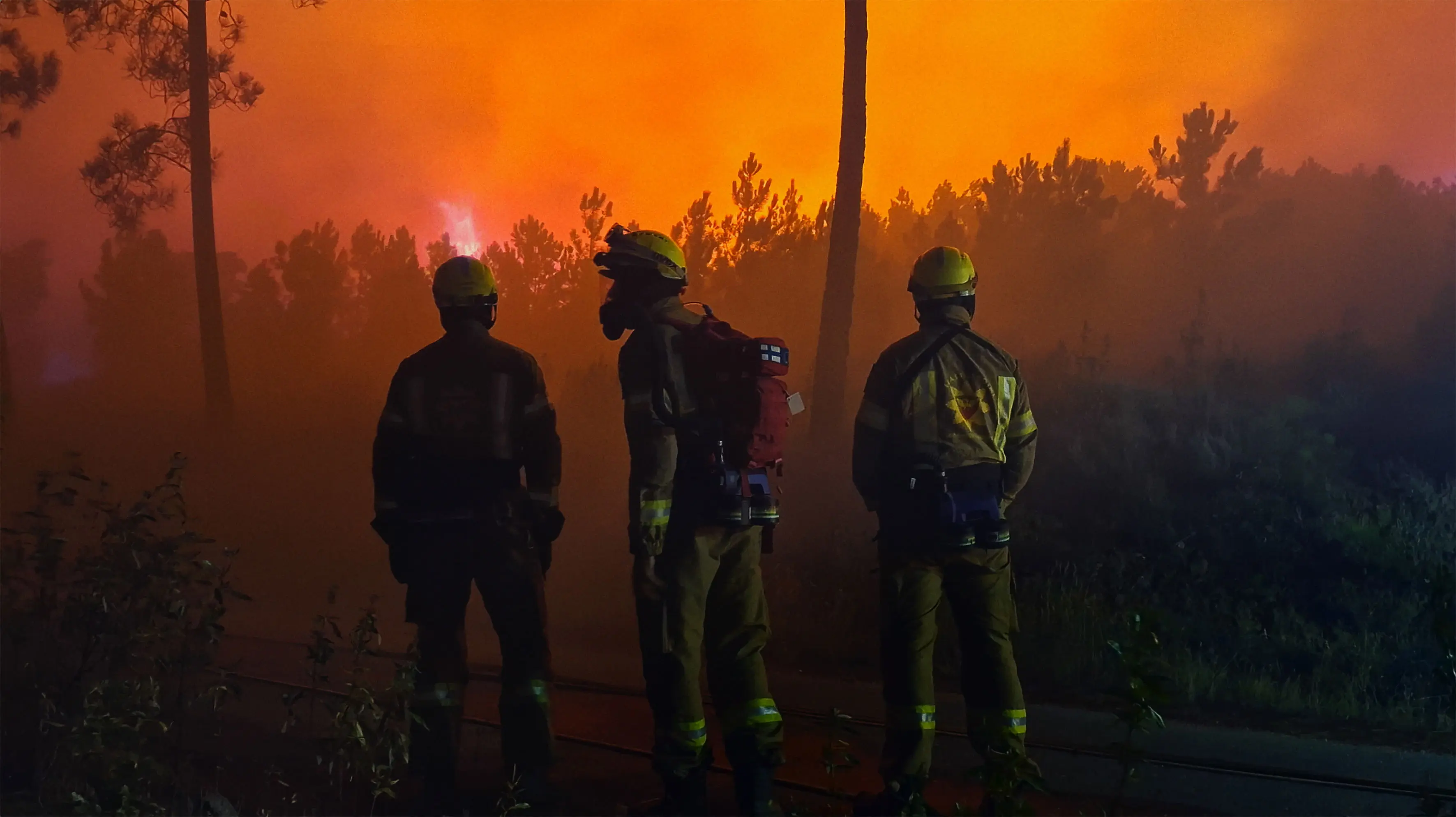 Lessons in Fire backdrop