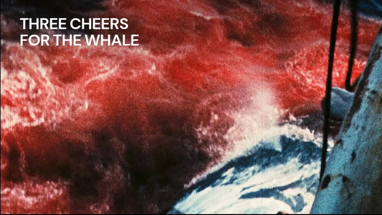 Three Cheers for the Whale backdrop