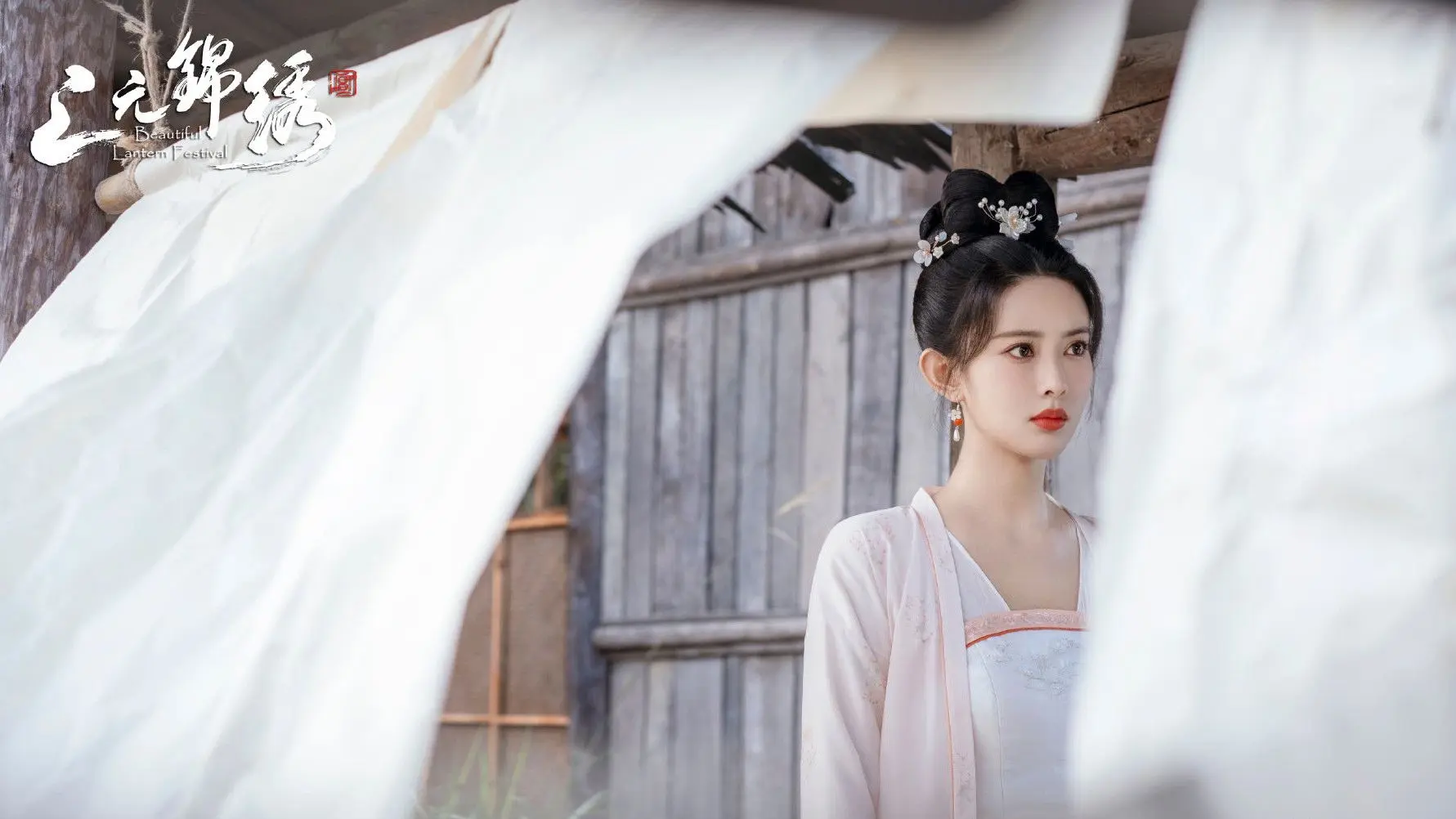 Beautiful Lantern Festival backdrop