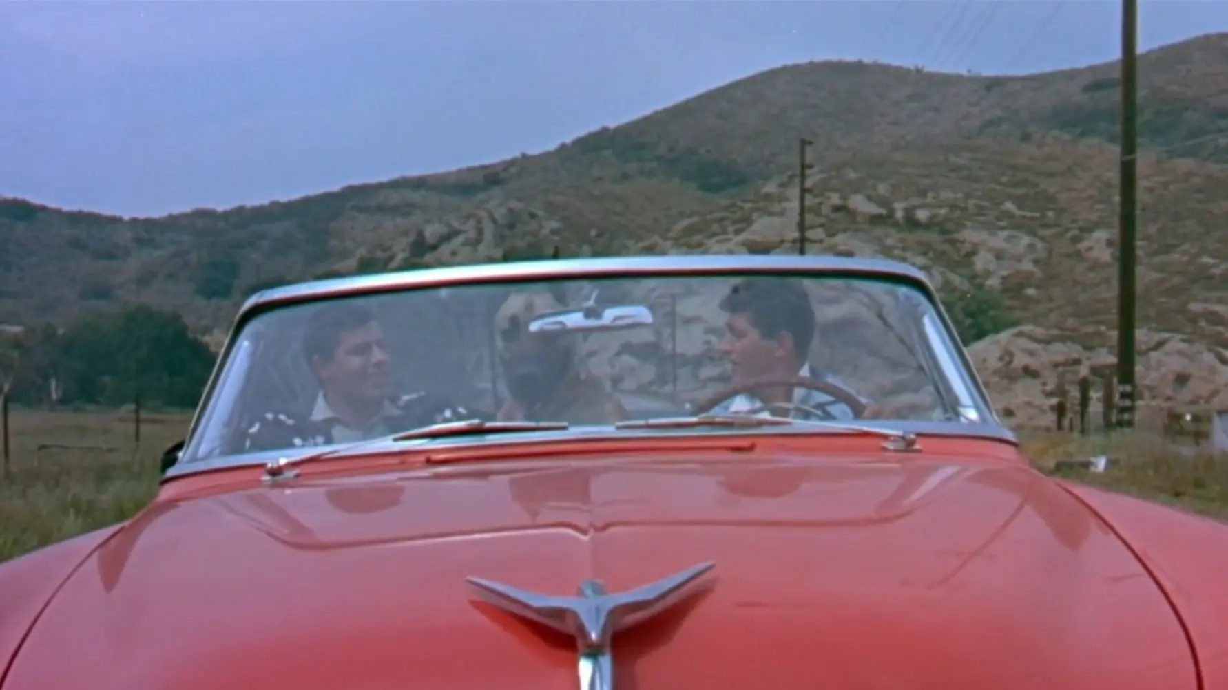 Hollywood or Bust backdrop