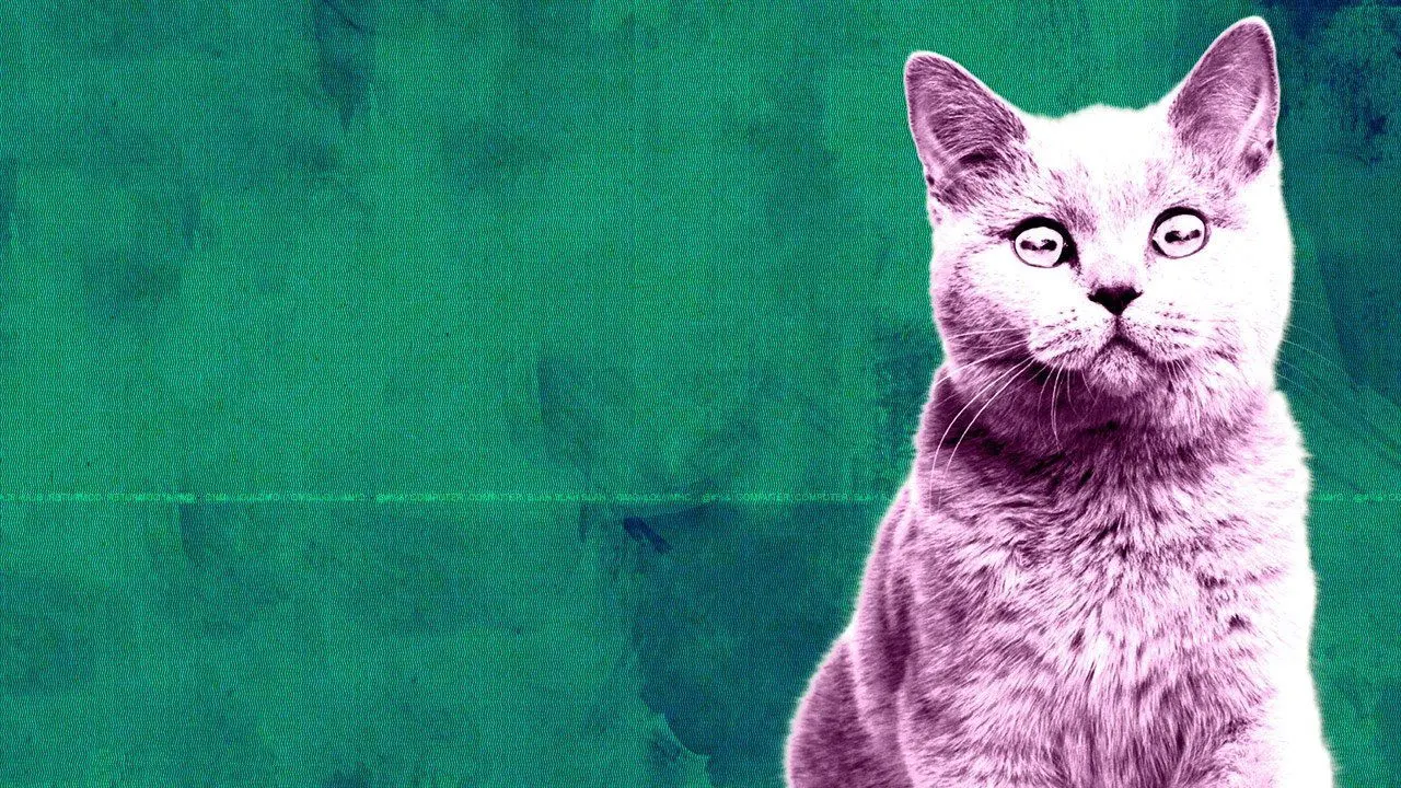 Off the Air backdrop