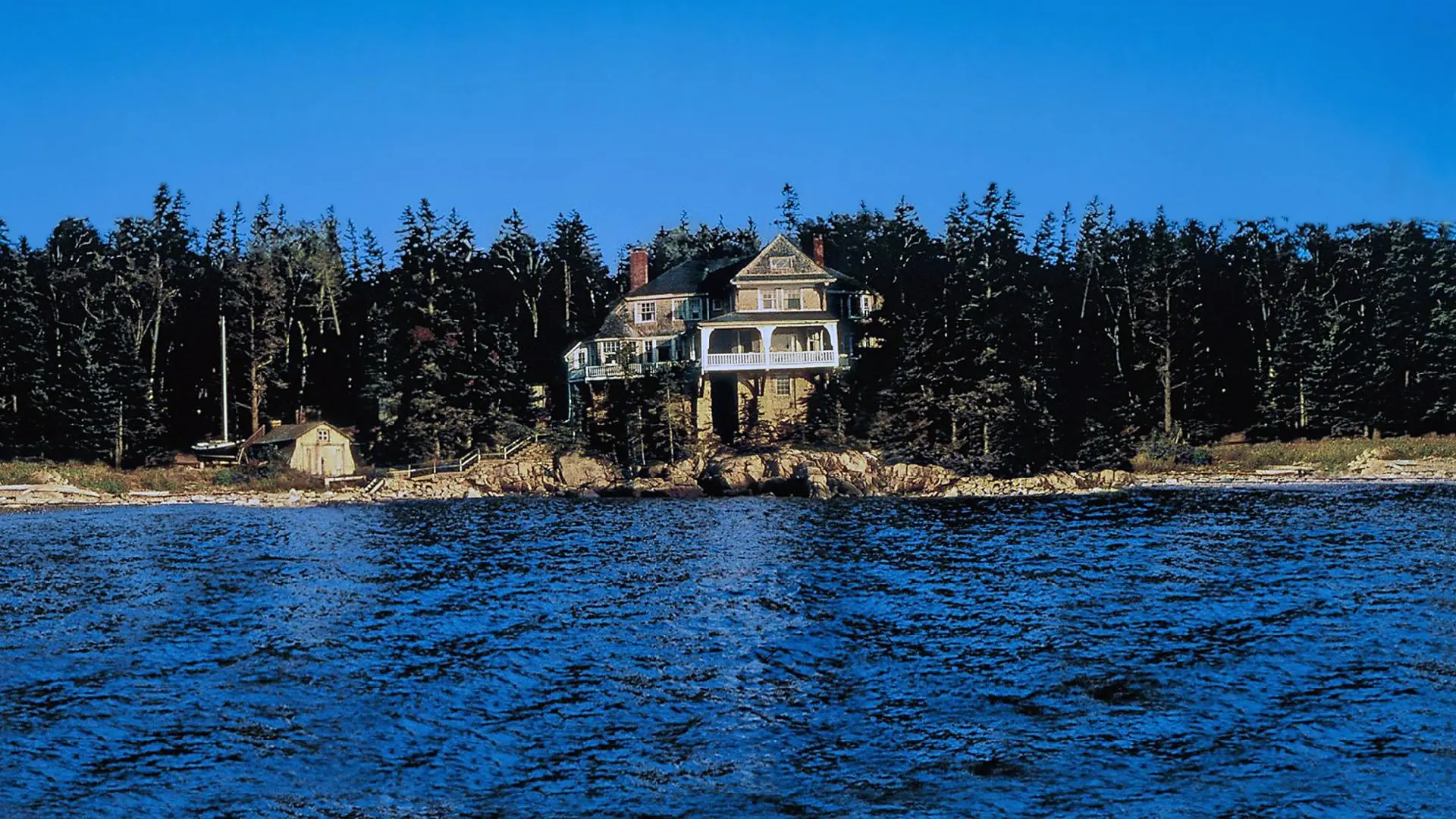 The Man Without a Face backdrop