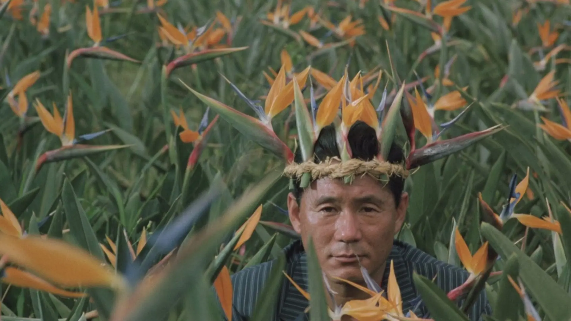 Boiling Point backdrop