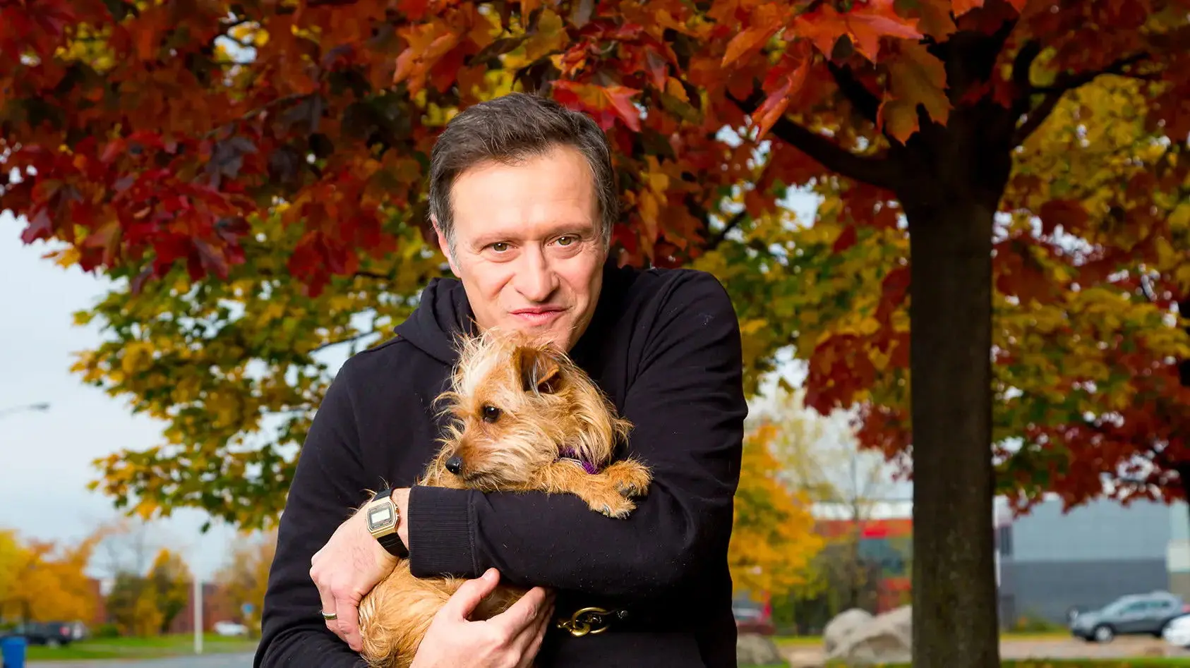 Animal Shelter backdrop