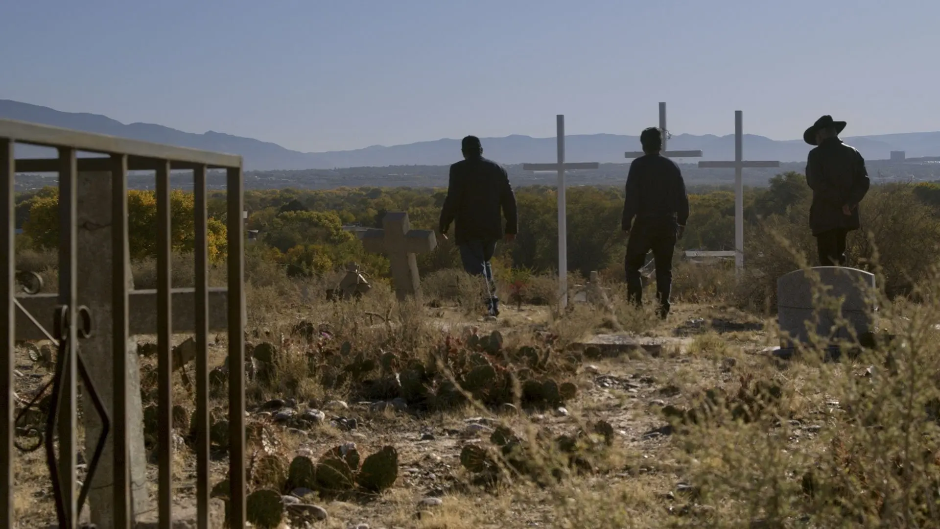 The Last Narc backdrop