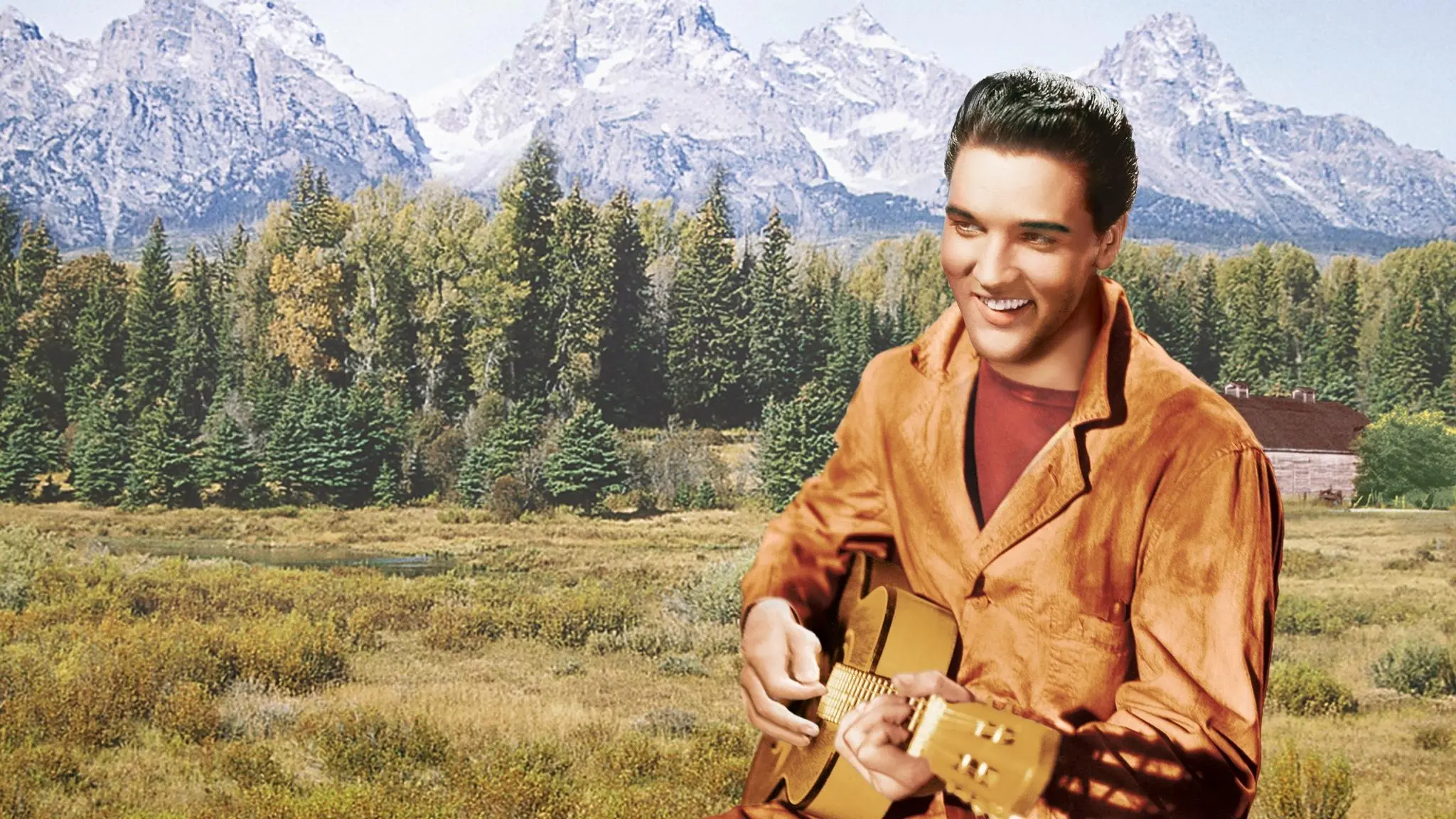 Wild in the Country backdrop