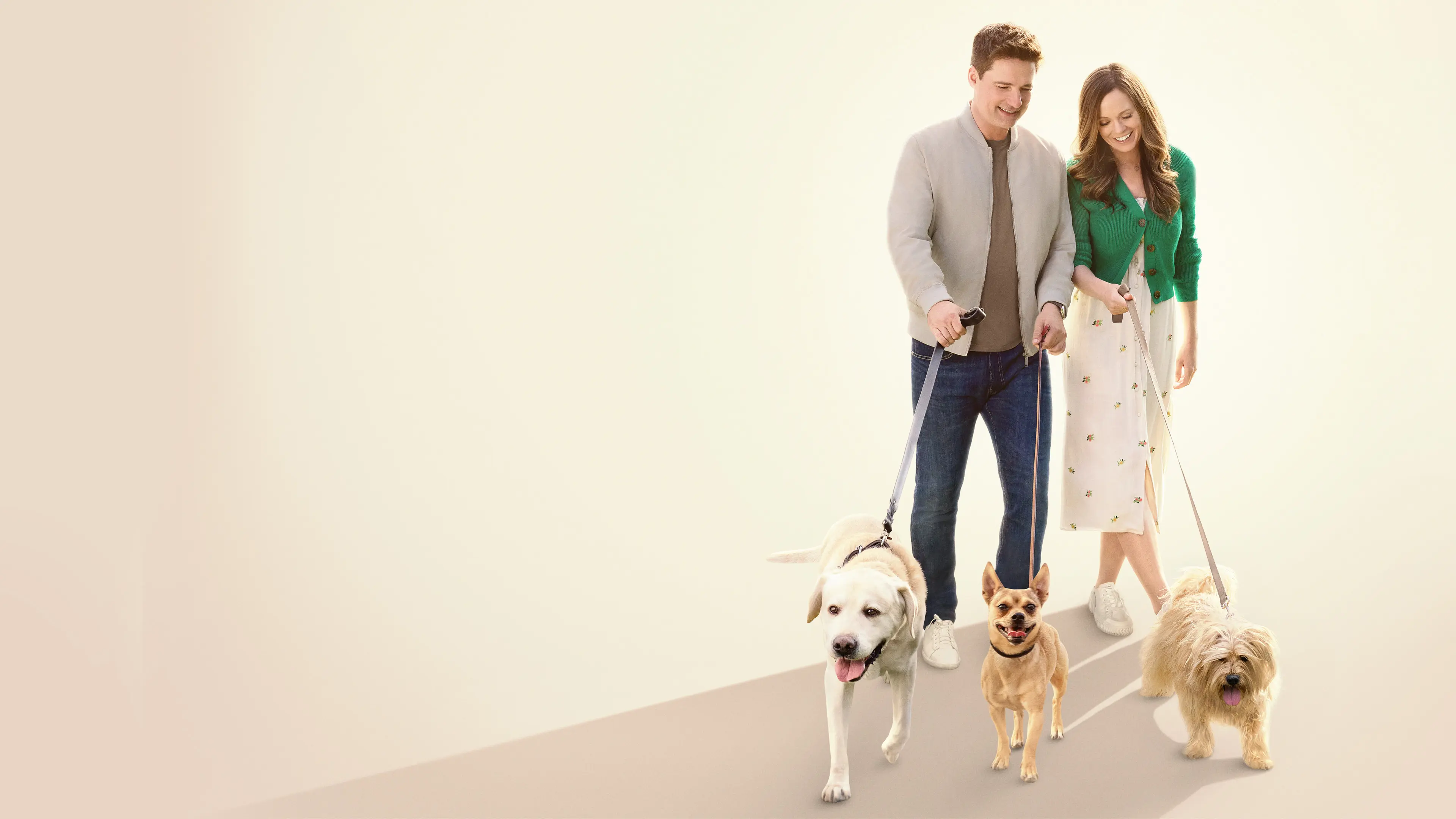 The More Love Grows backdrop