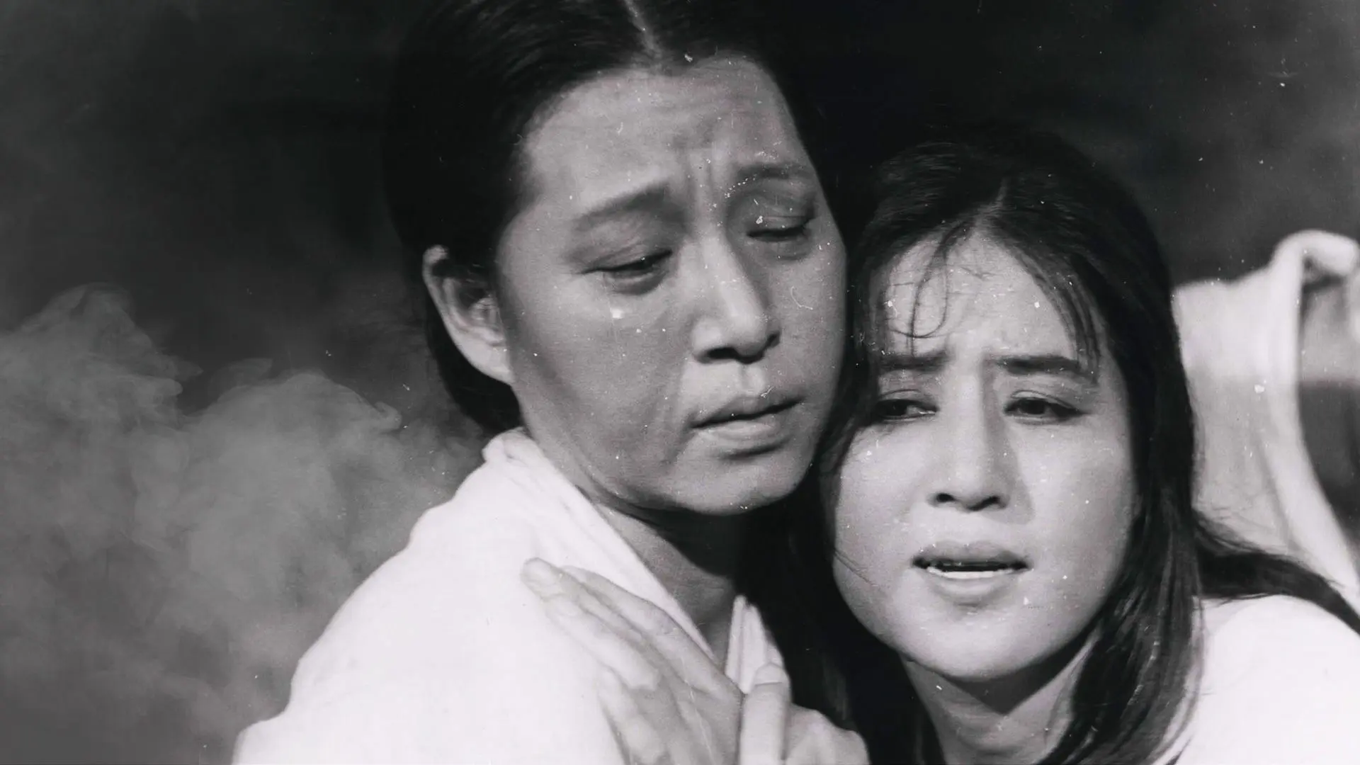 The Evergreen backdrop