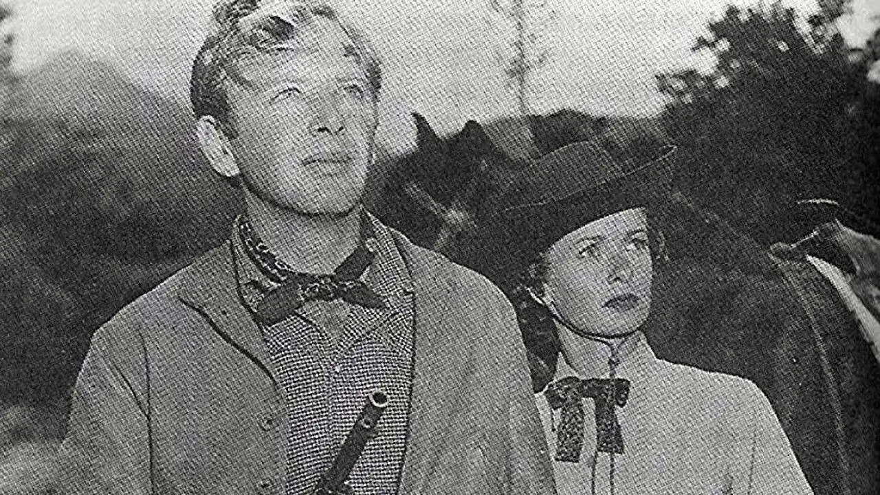 Montana Incident backdrop