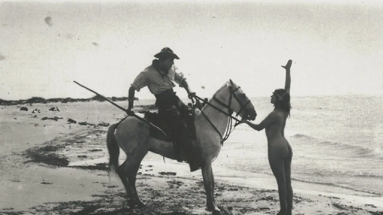 King of Camargue backdrop