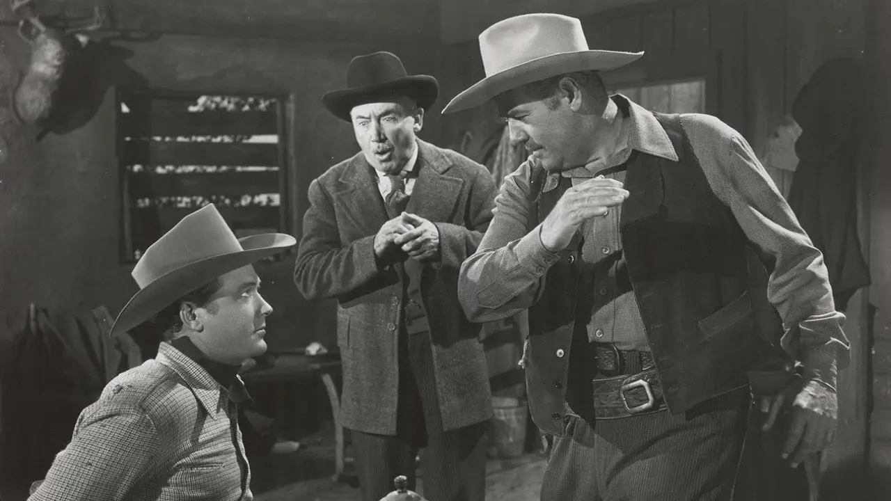 The Timber Trail backdrop