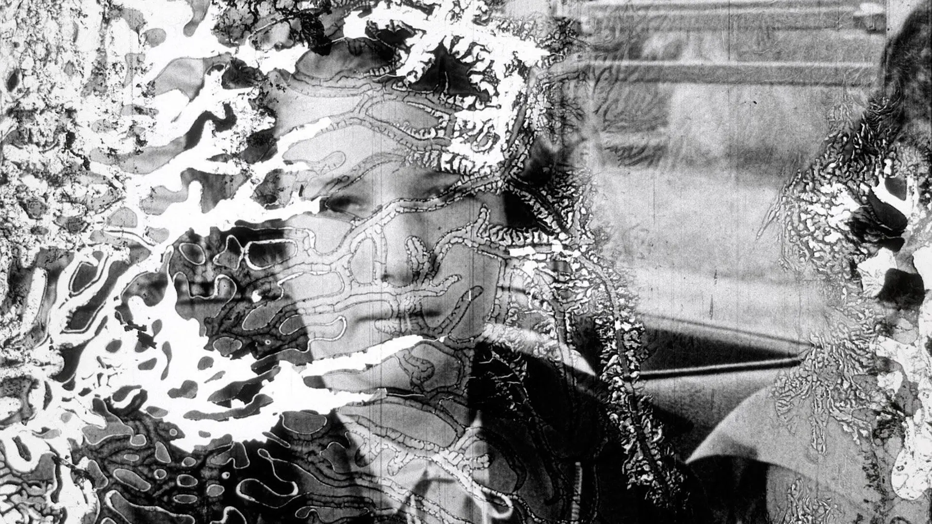 Decasia: The State of Decay backdrop