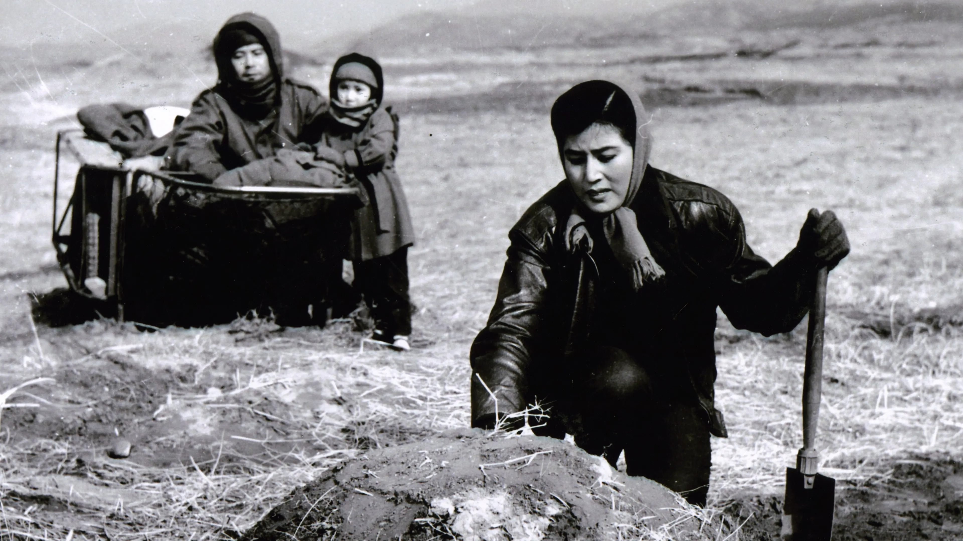 To the Last Day backdrop