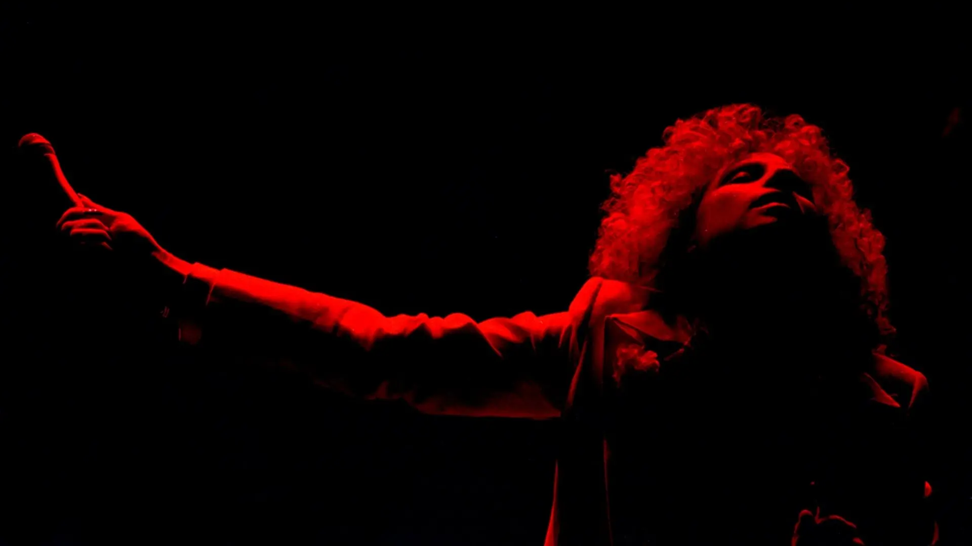 A Star Is Born backdrop