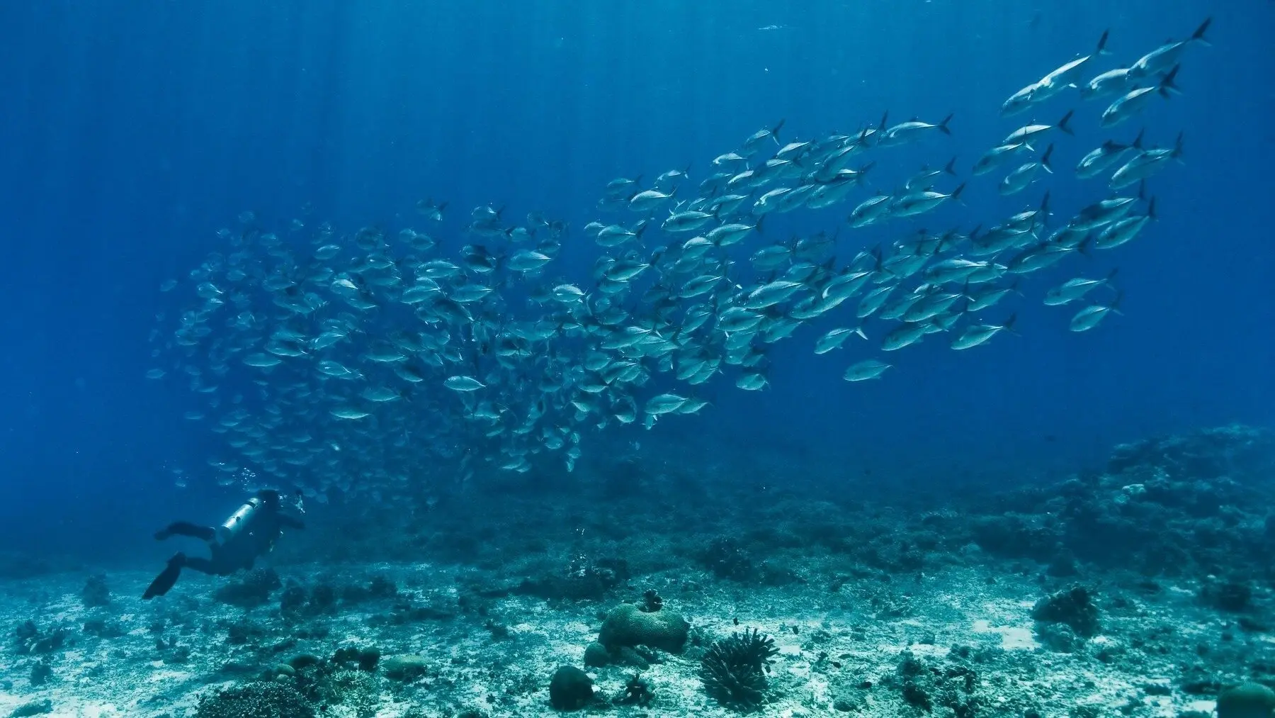 The End of the Line backdrop