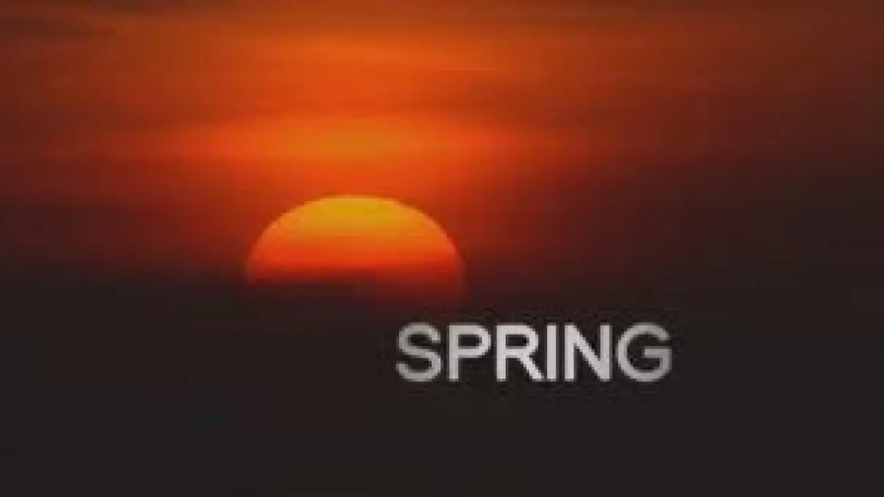 Wild Kingdom backdrop