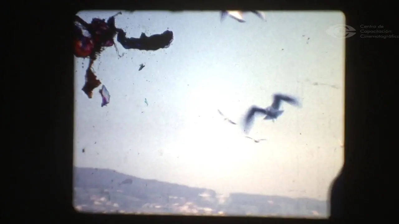 Lupulos' House backdrop