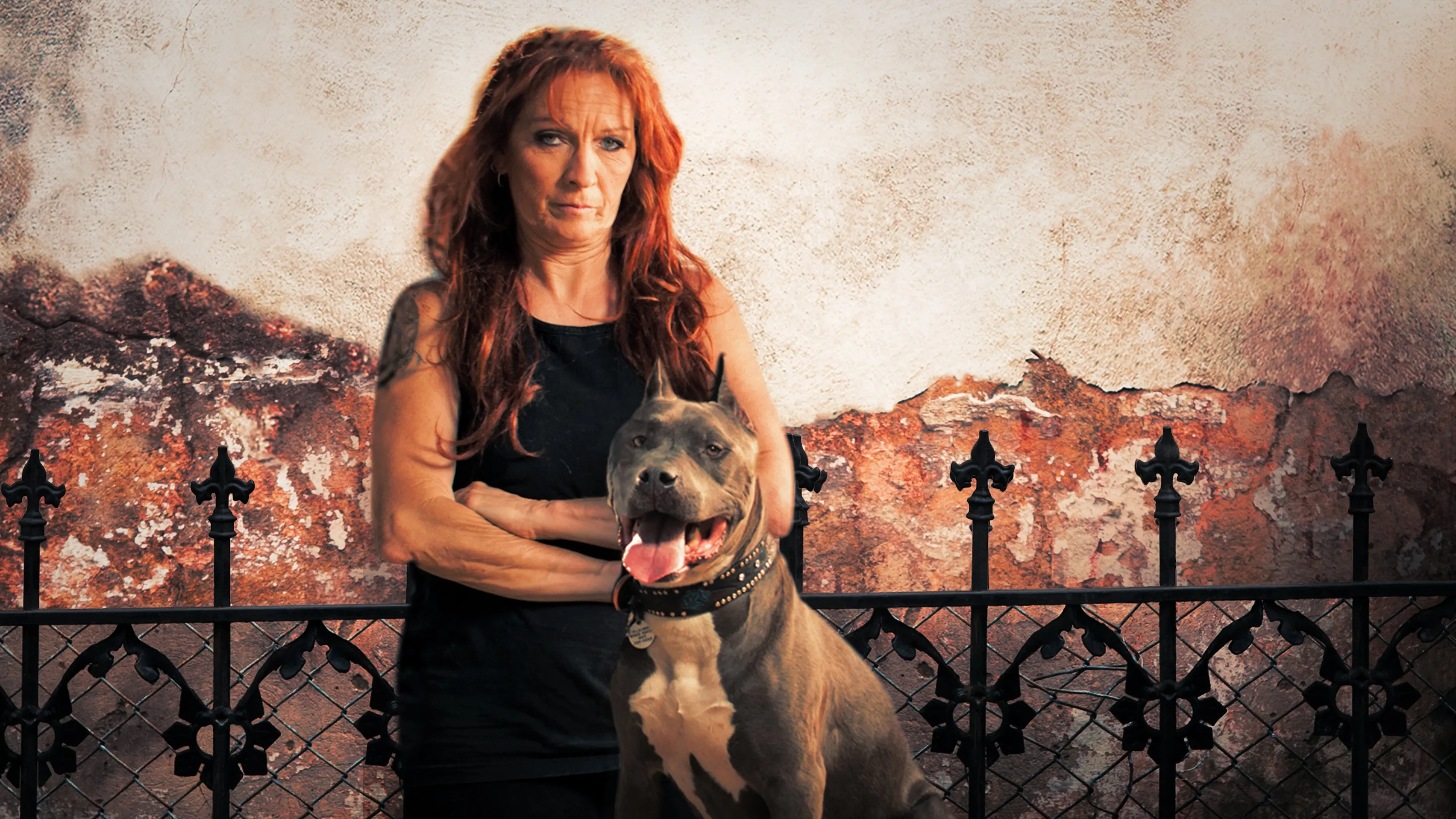 Pit Bulls and Parolees backdrop