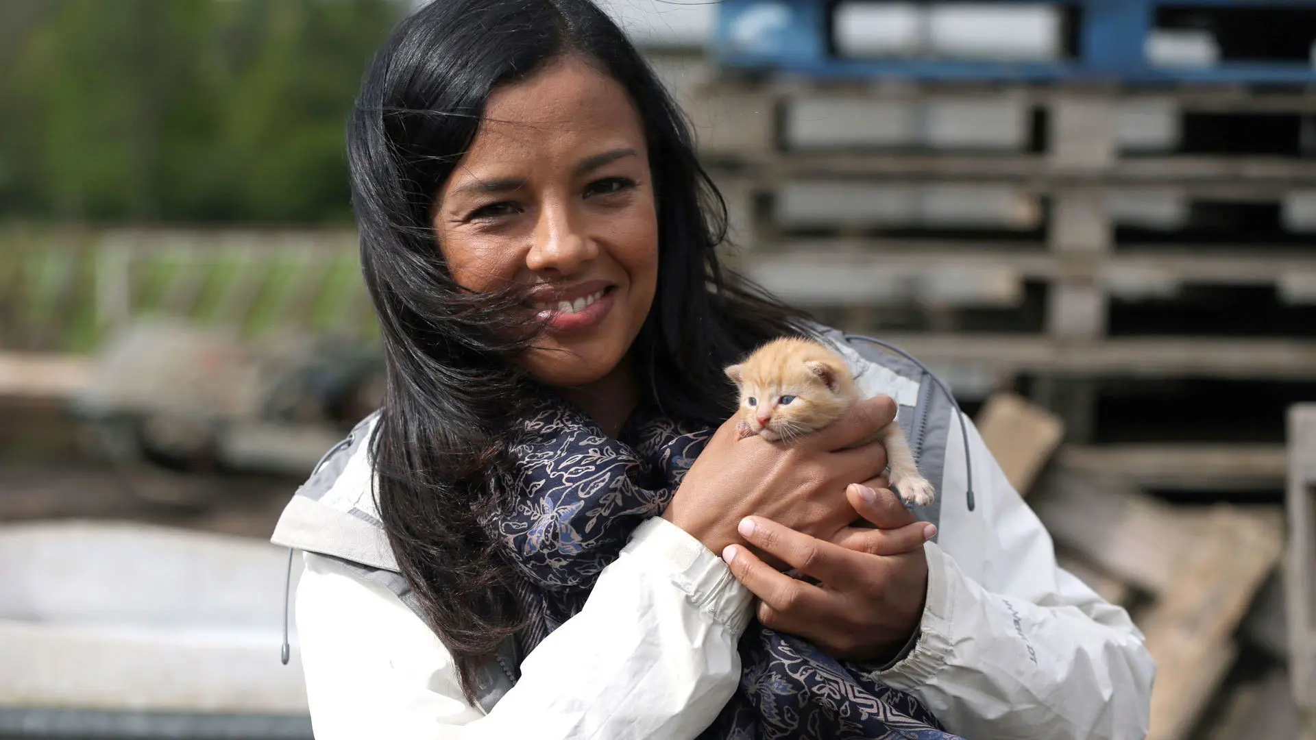 Cat Watch 2014: The New Horizon Experiment backdrop