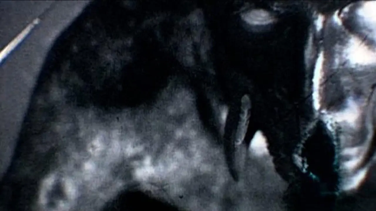 Kanashibara backdrop